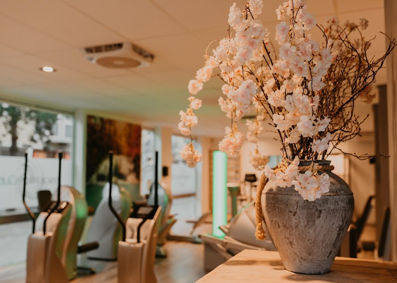 Fysica Milon Clubs Zeewolde — Milon Cirkeltraining in Zeewolde